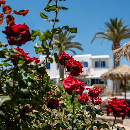 Apartmanhotel Stella Naxos Island Ajía Ána